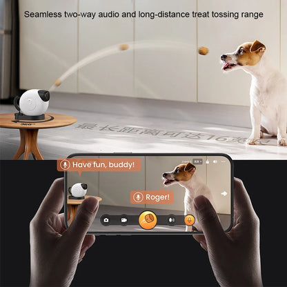 Caméra Intelligente 360° pour Animaux de Compagnie